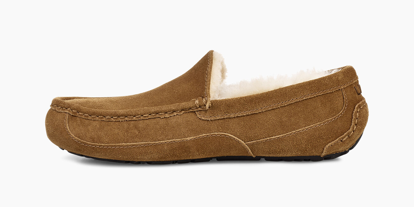 ugg ascot slipper