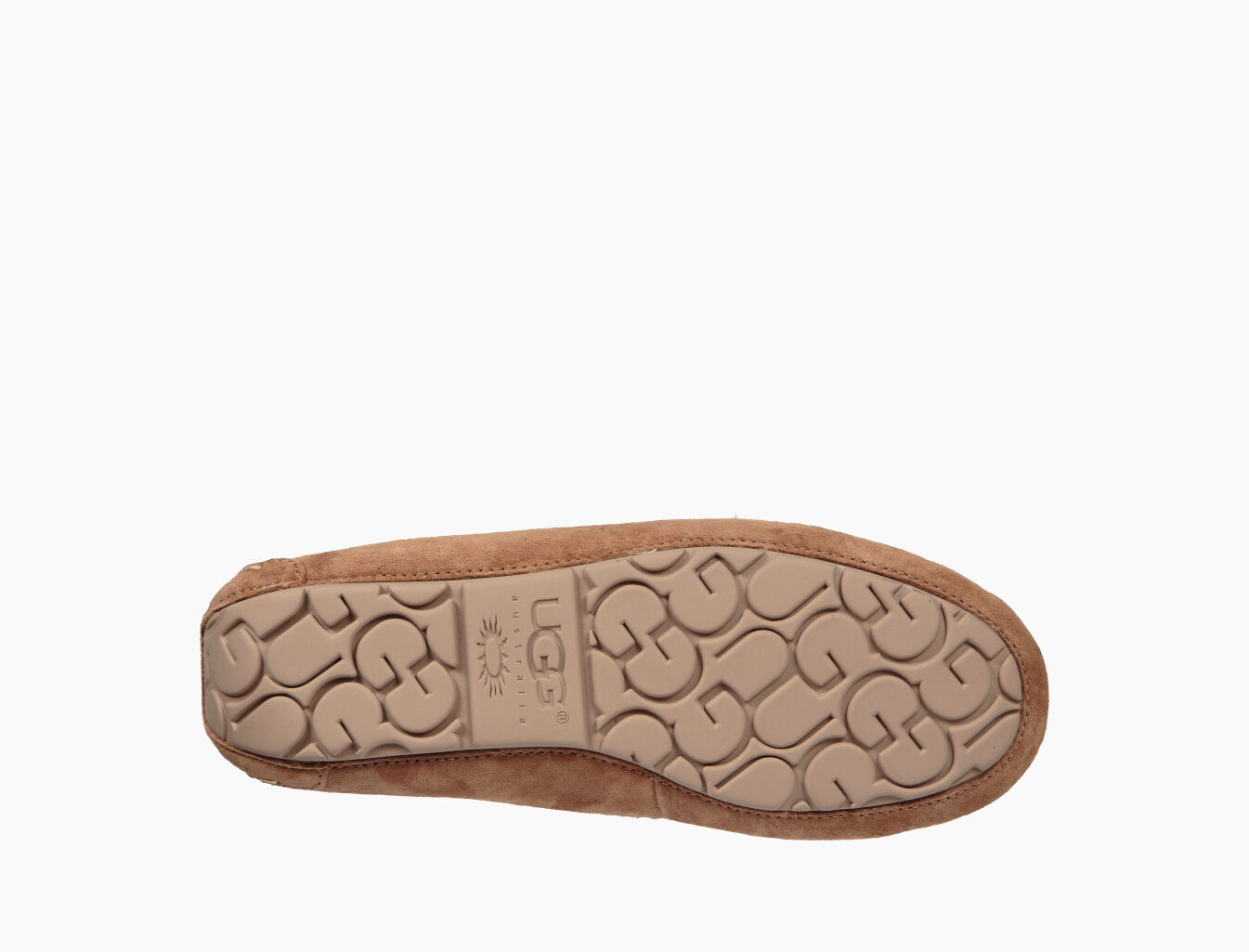 Ugg Dakota Pom Pom Slipper For Women Ugg Cyprus