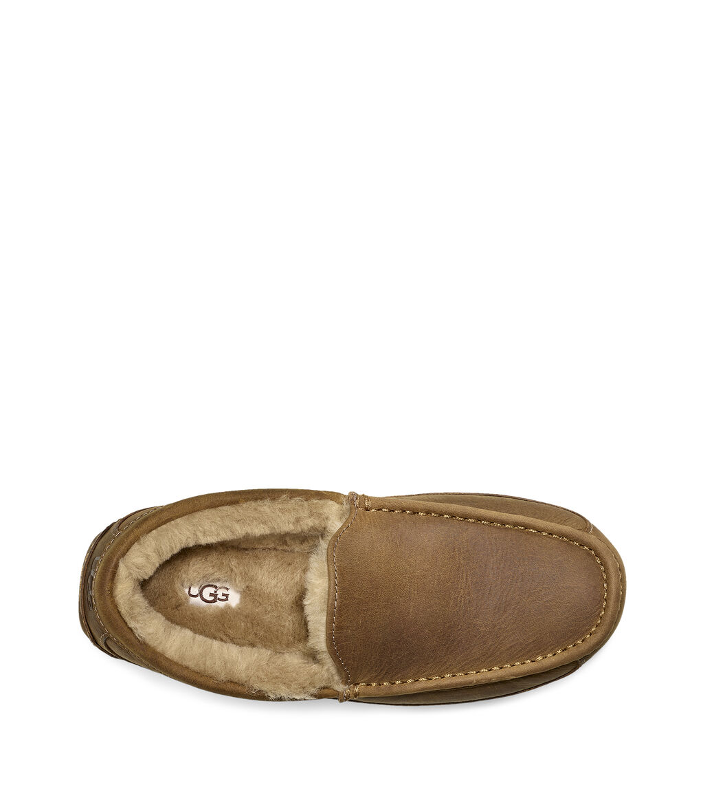 UGG® Ascot Slipper for Men | UGG® UK