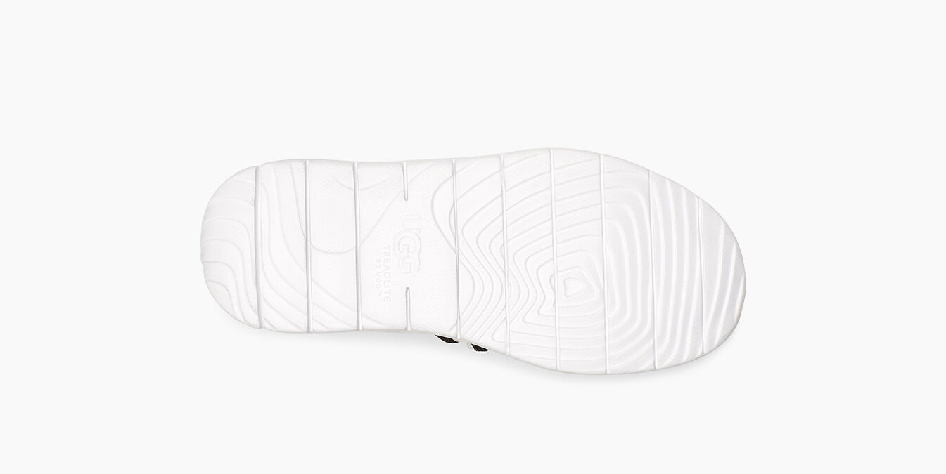 ugg cambrian sneaker