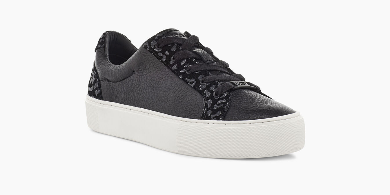 zilo snow leopard trainer