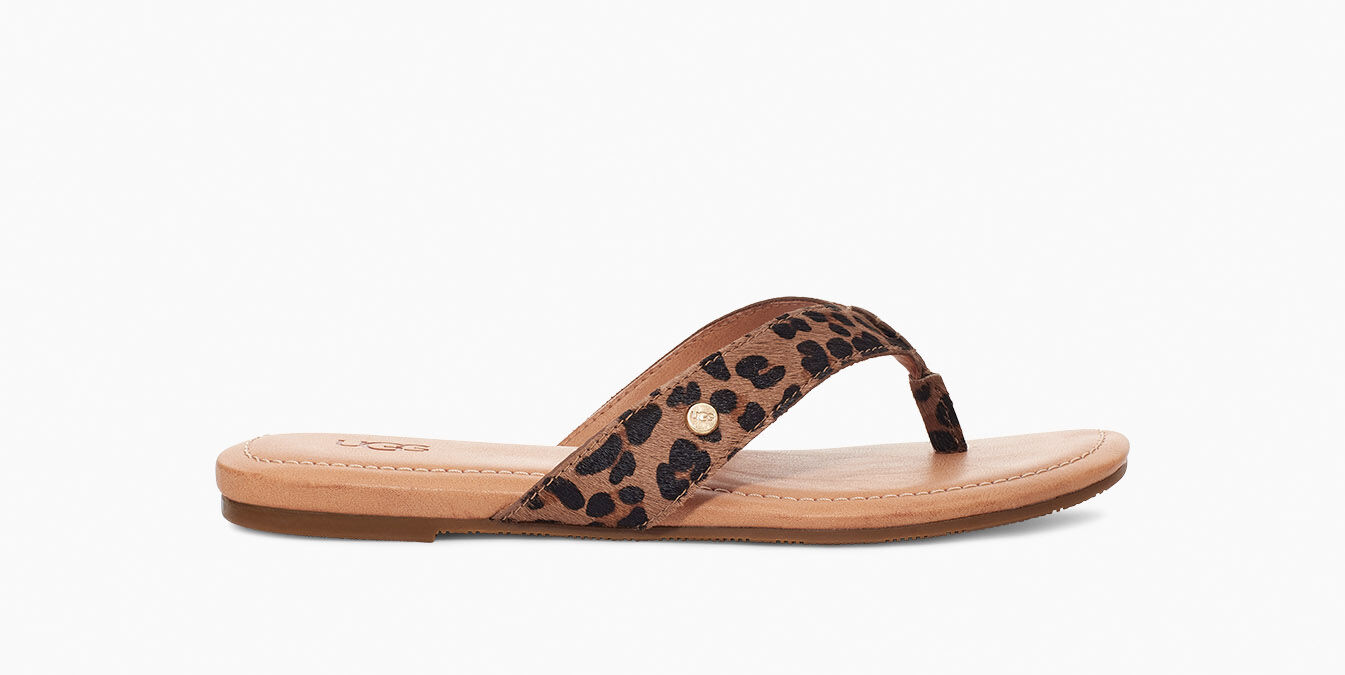 leopard flip flops