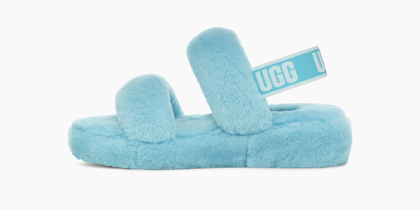 polo bear slides