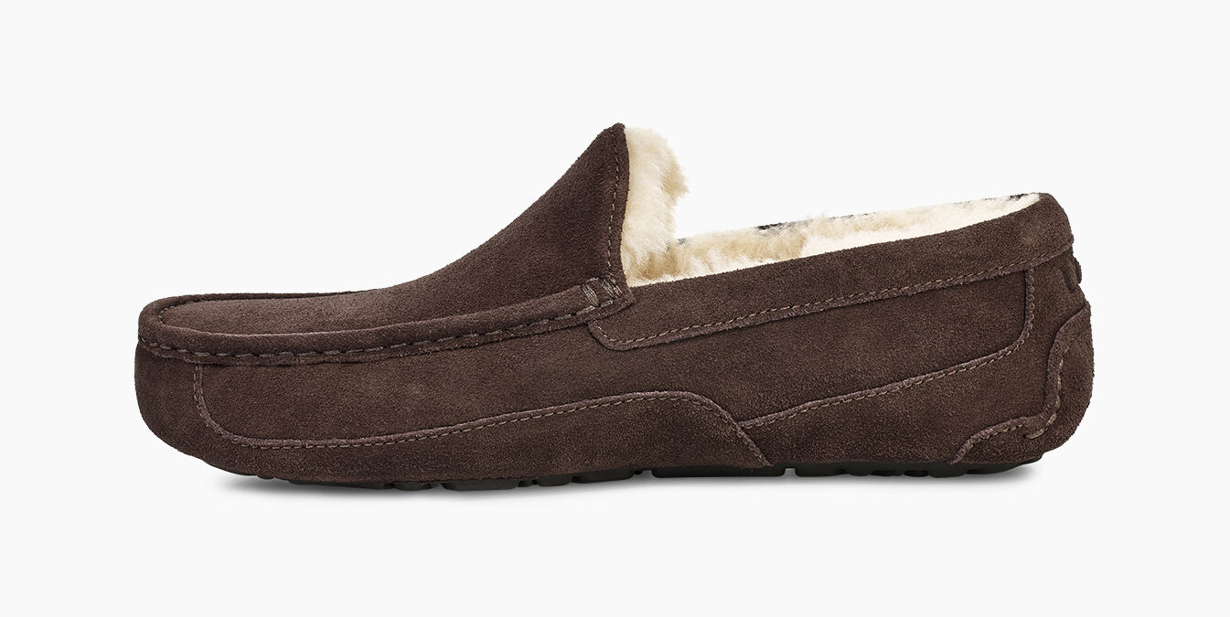UGG® Ascot Slipper for Men | UGG® UK