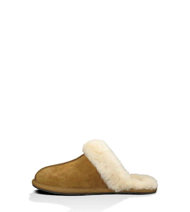 UGG® Scuffette II Slipper for Women | UGG® UK