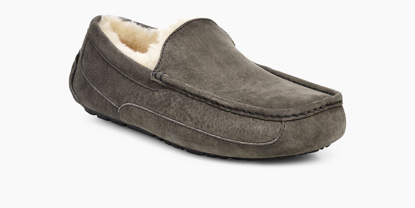 ascot suede slipper ugg
