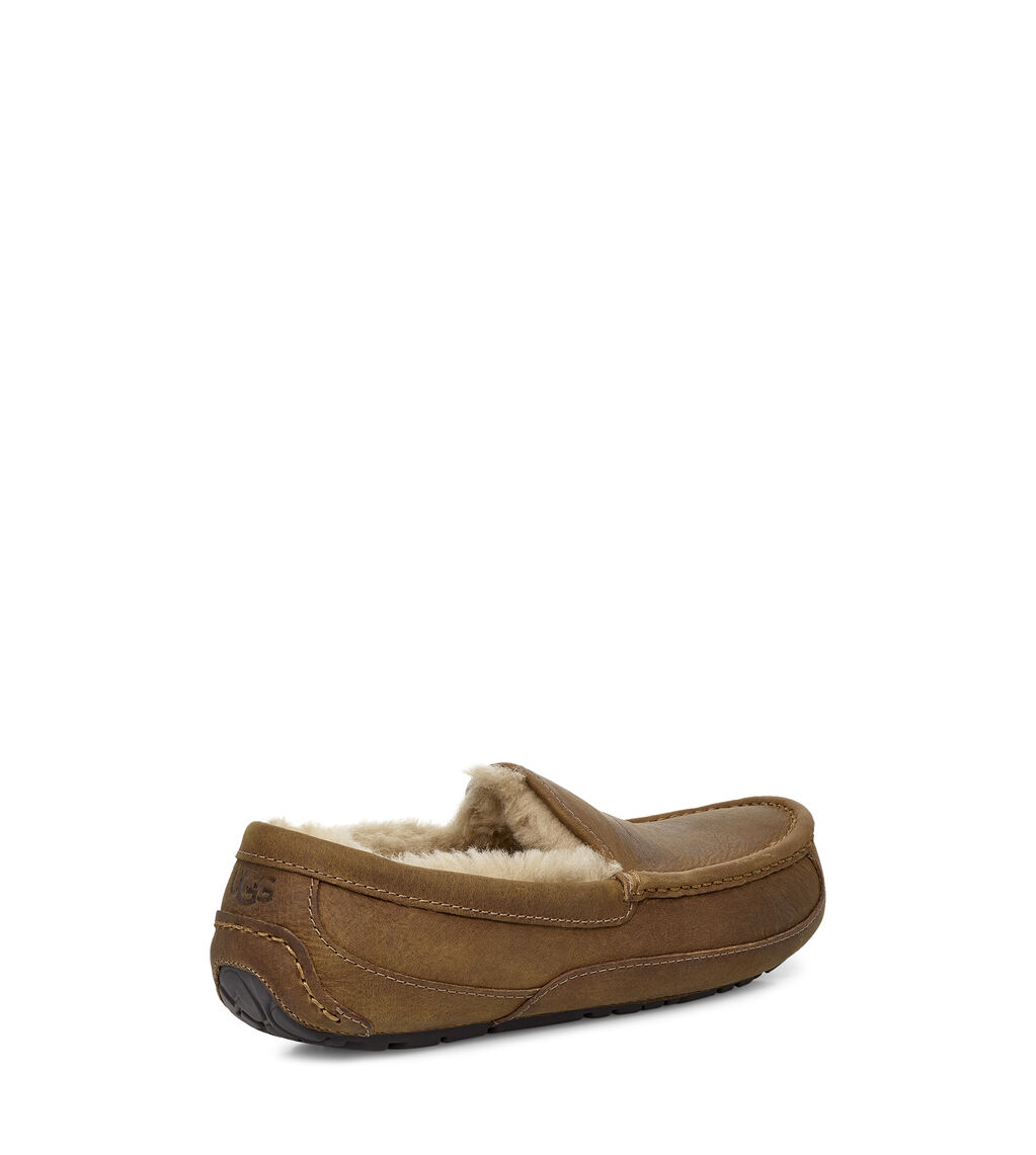 UGG® Ascot Slipper for Men | UGG® UK