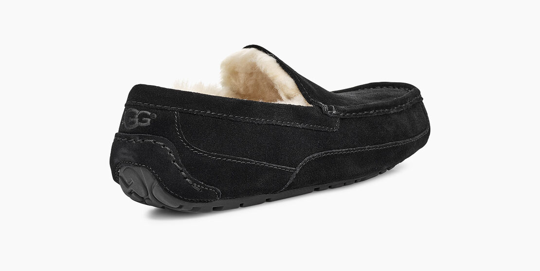 UGG® Ascot Slipper for Men | UGG® UK