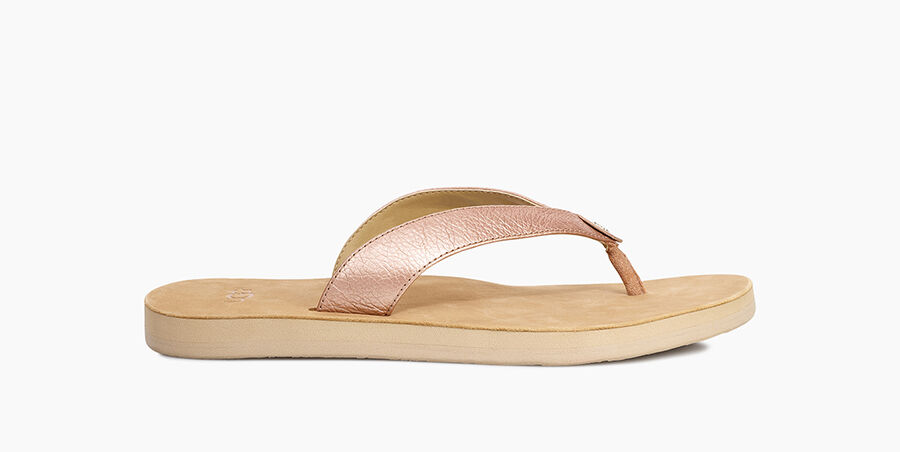 ugg aja ankle strap sandal