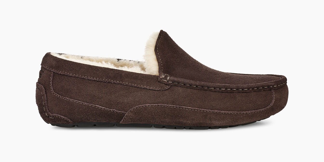 ascot suede slipper ugg