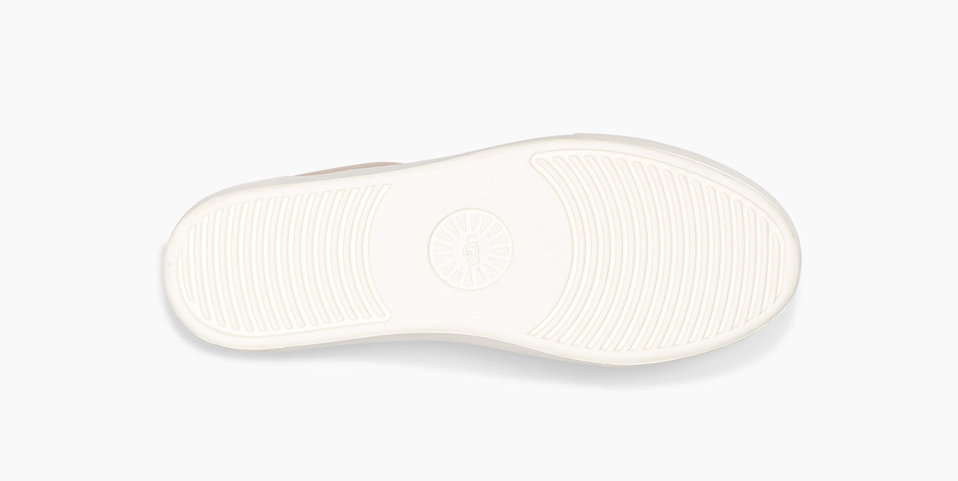 zilo snow leopard trainer