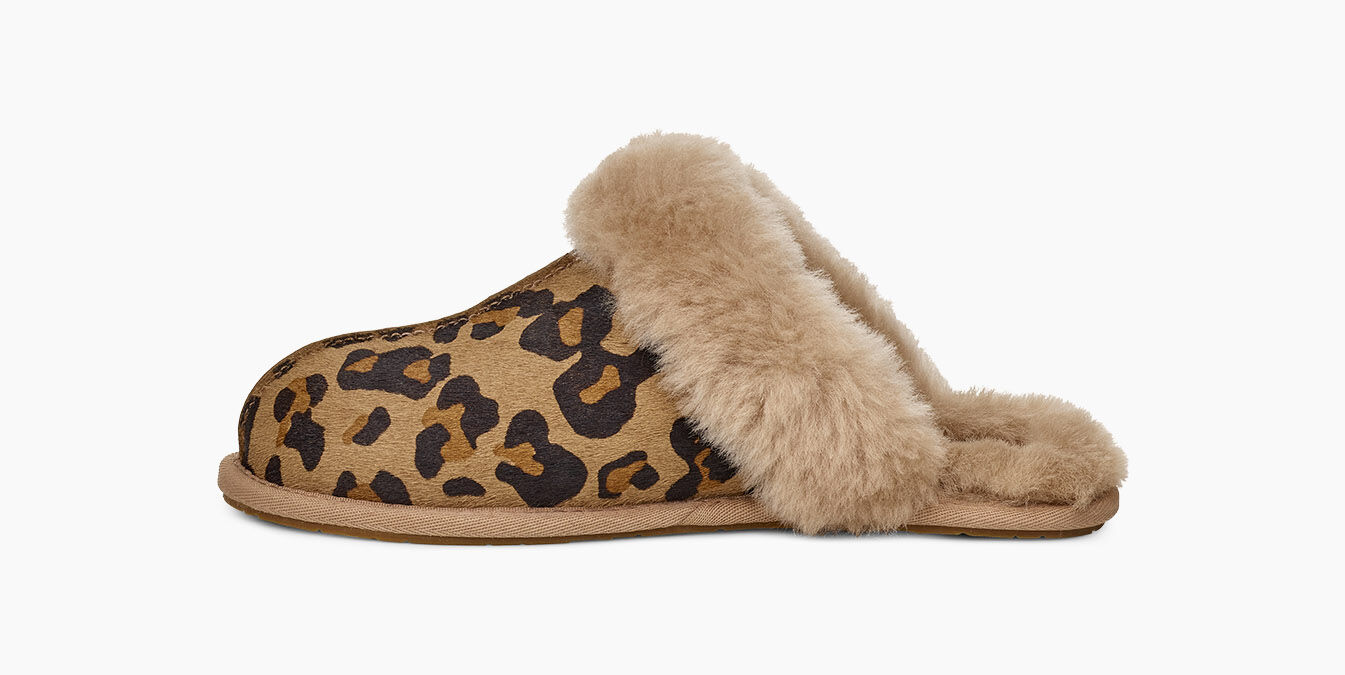 Ugg scuffette new arrivals slippers leopard print