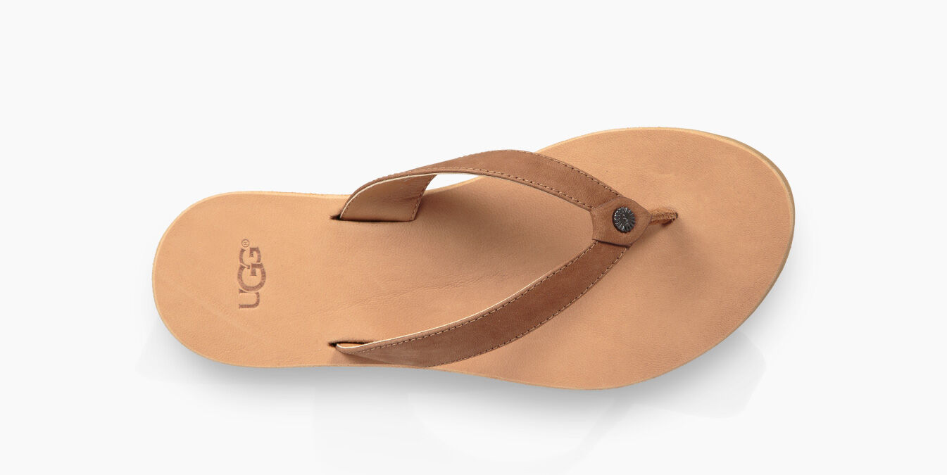 ugg tawney flip flop chestnut
