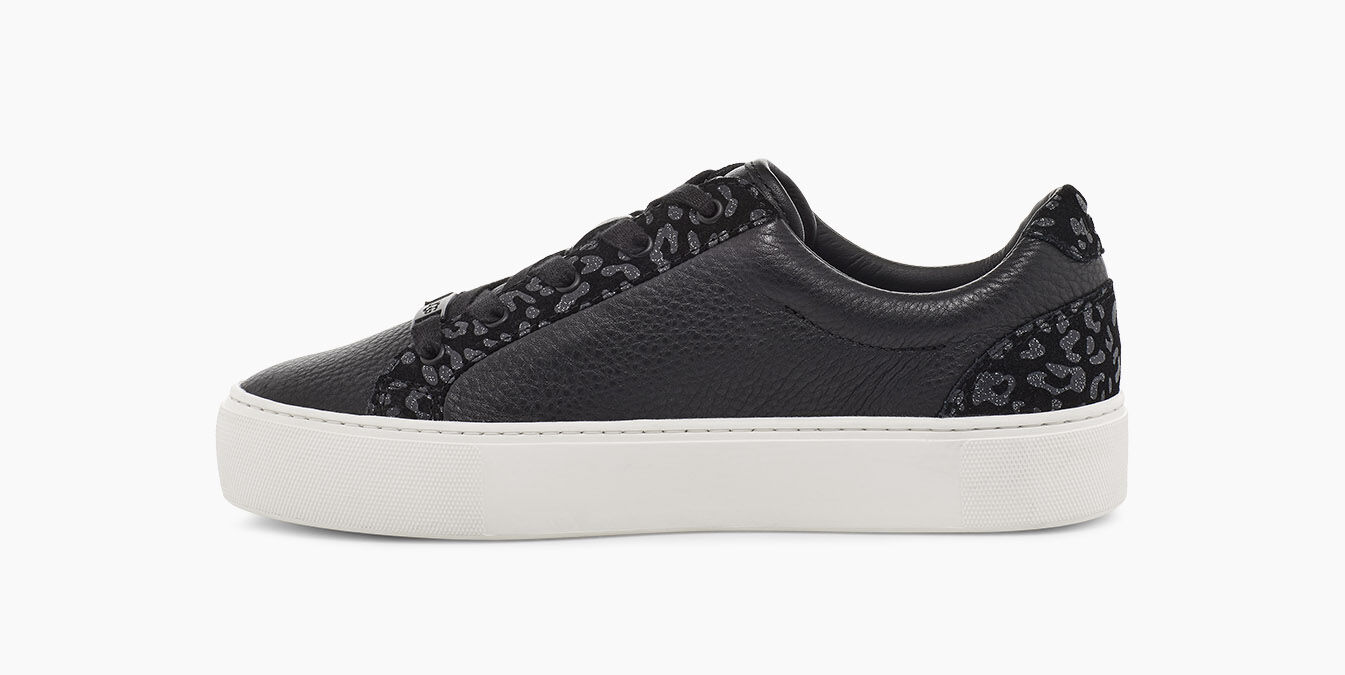 zilo snow leopard trainer