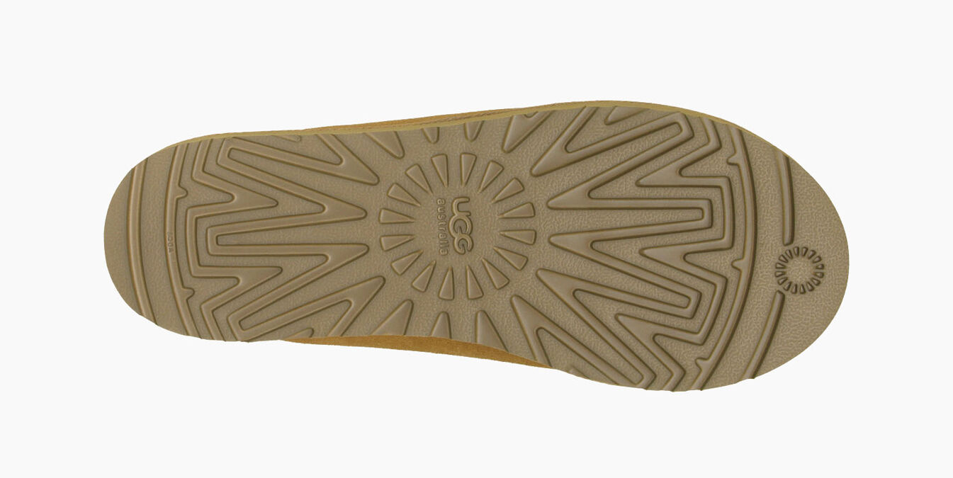 tasman ugg australia