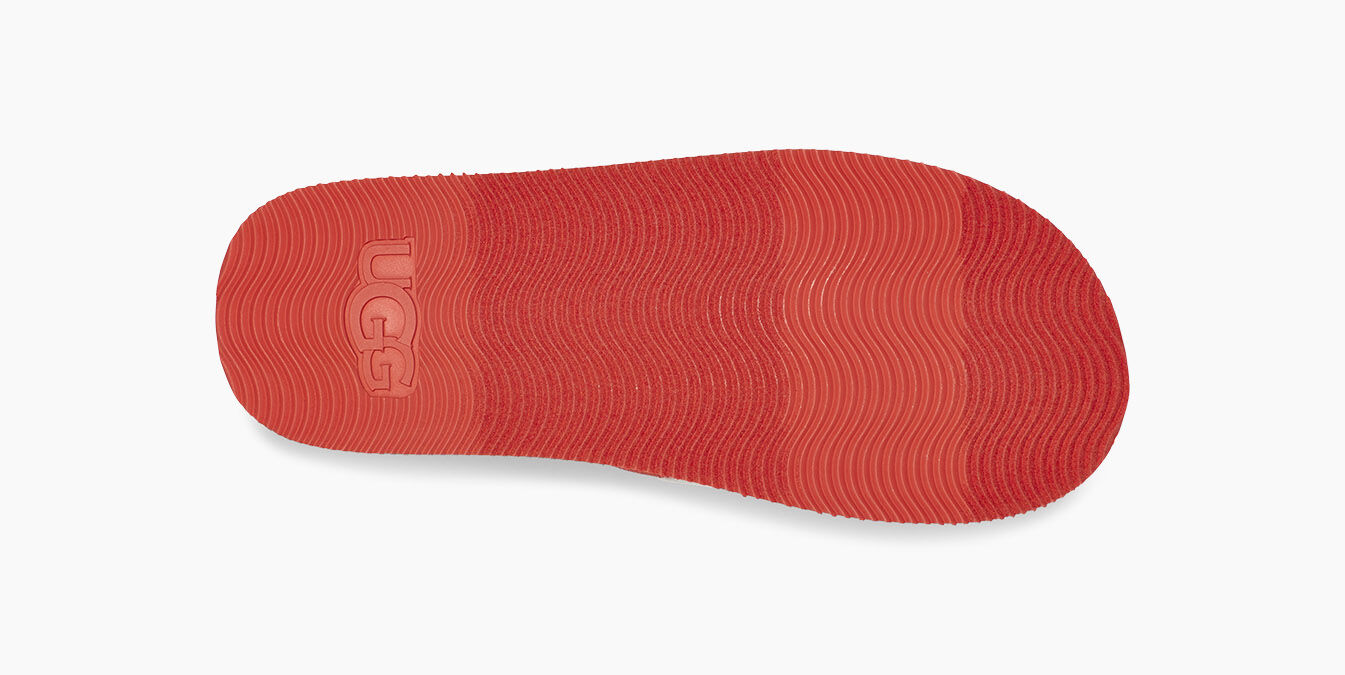 ugg zuma graphic slide