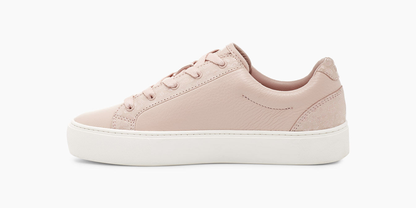 zilo snow leopard trainer