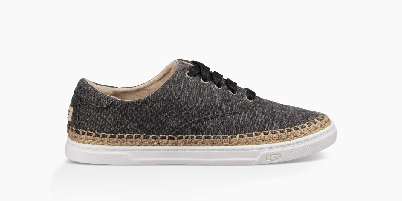 ugg canvas sneakers