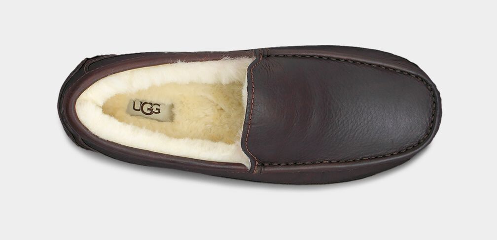 Ascot Slipper | UGG