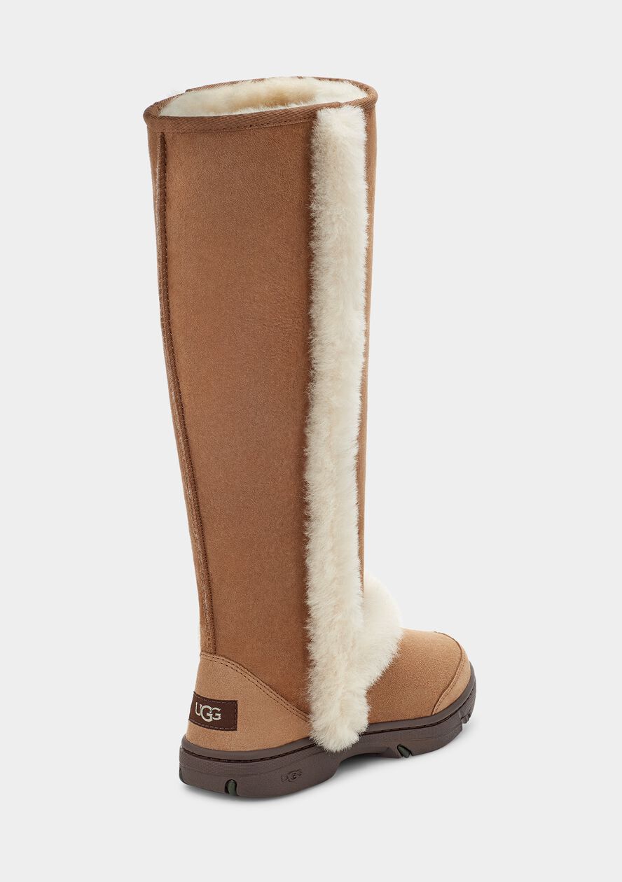 Extra Tall Ugg Australia Sunburst Tall Boot Buy Extra Tall Ugg