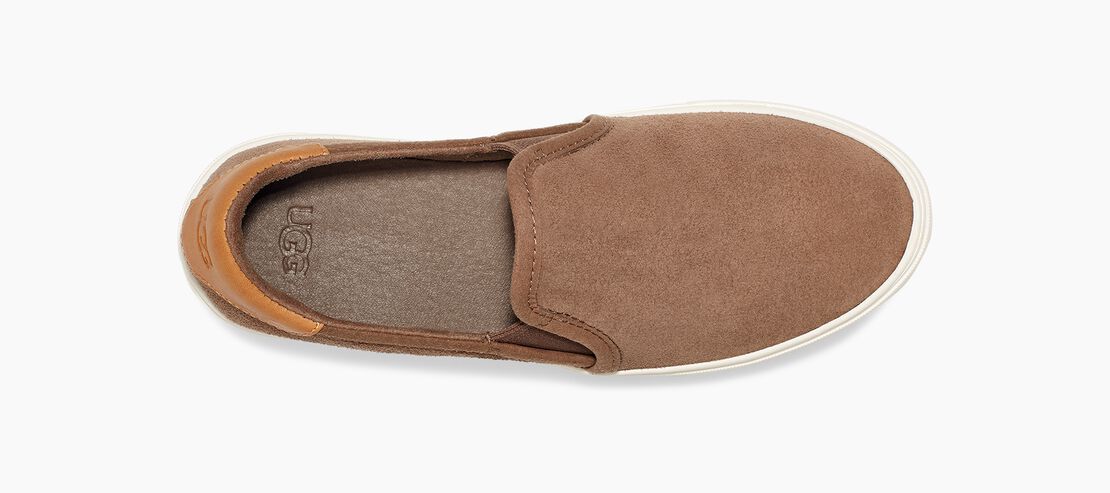 Cahlvan Sneaker | UGG® Official