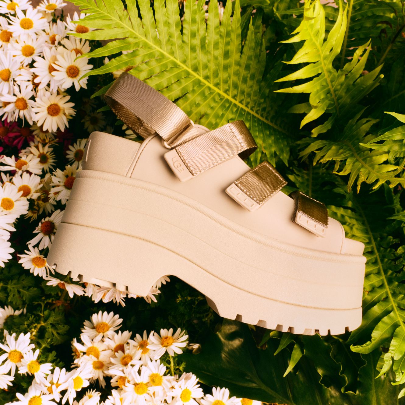 【UGG】 W GOLDENRISE 22cm UGG GoldenRise Platform Sandals Dark Apricot (Women's