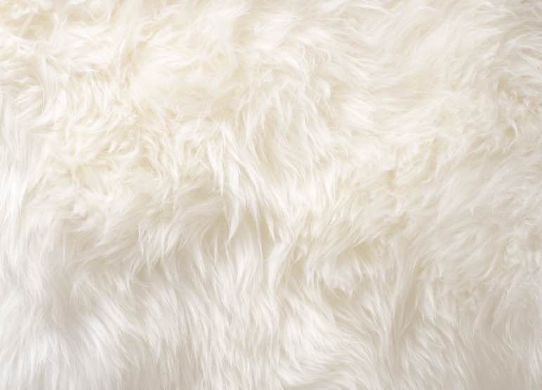 ugg peau de mouton