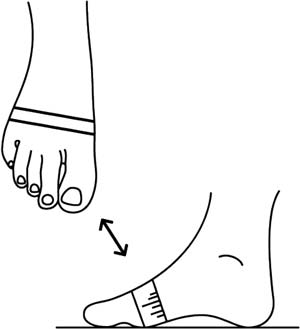 Foot width size.