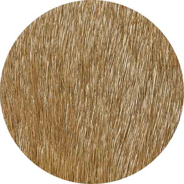 CALF HAIR 2