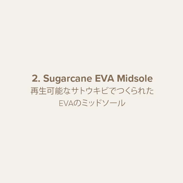 Sugar Cane