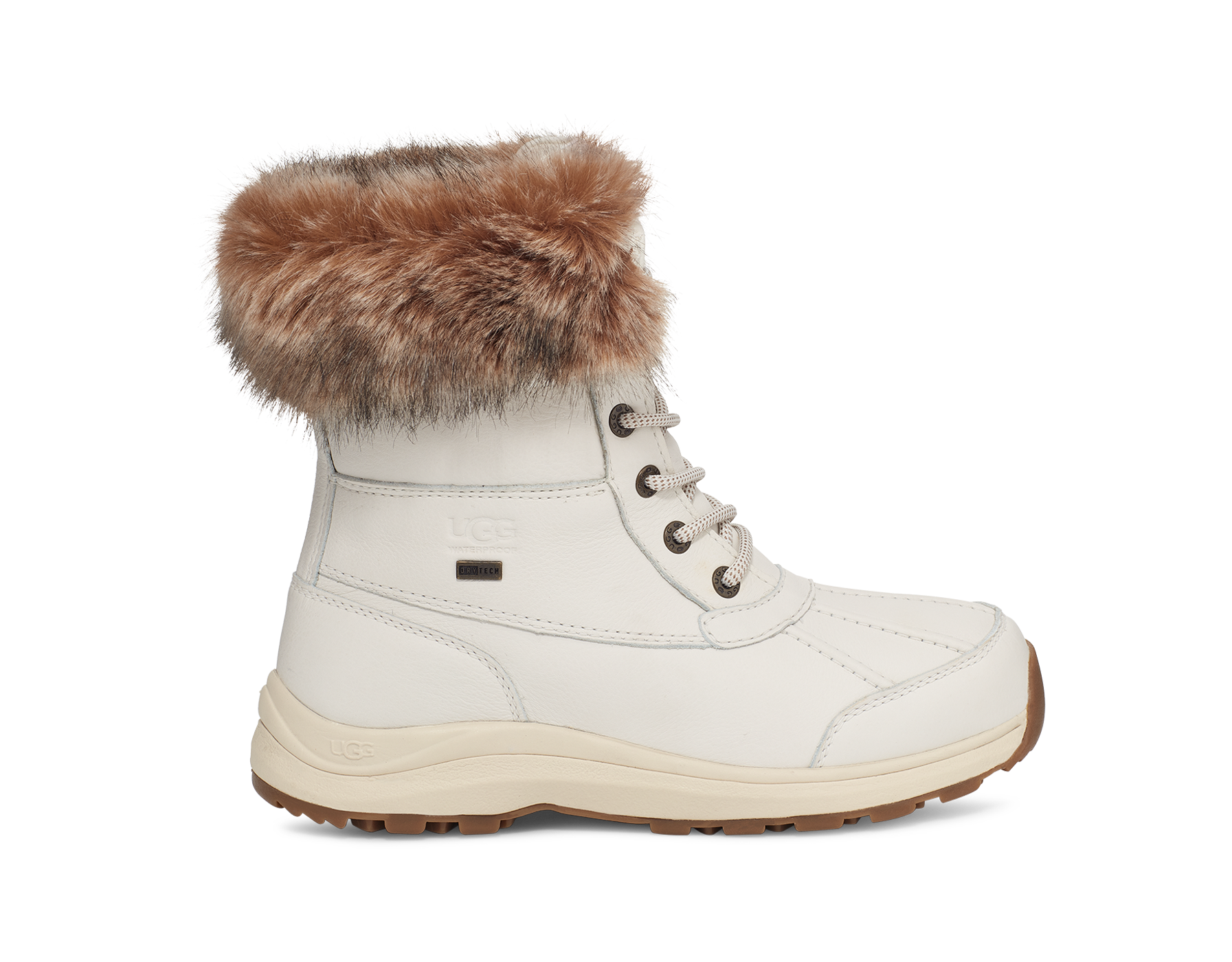 1123253-WHT_1.png