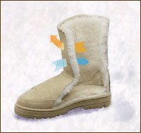 do uggs use sheepskin