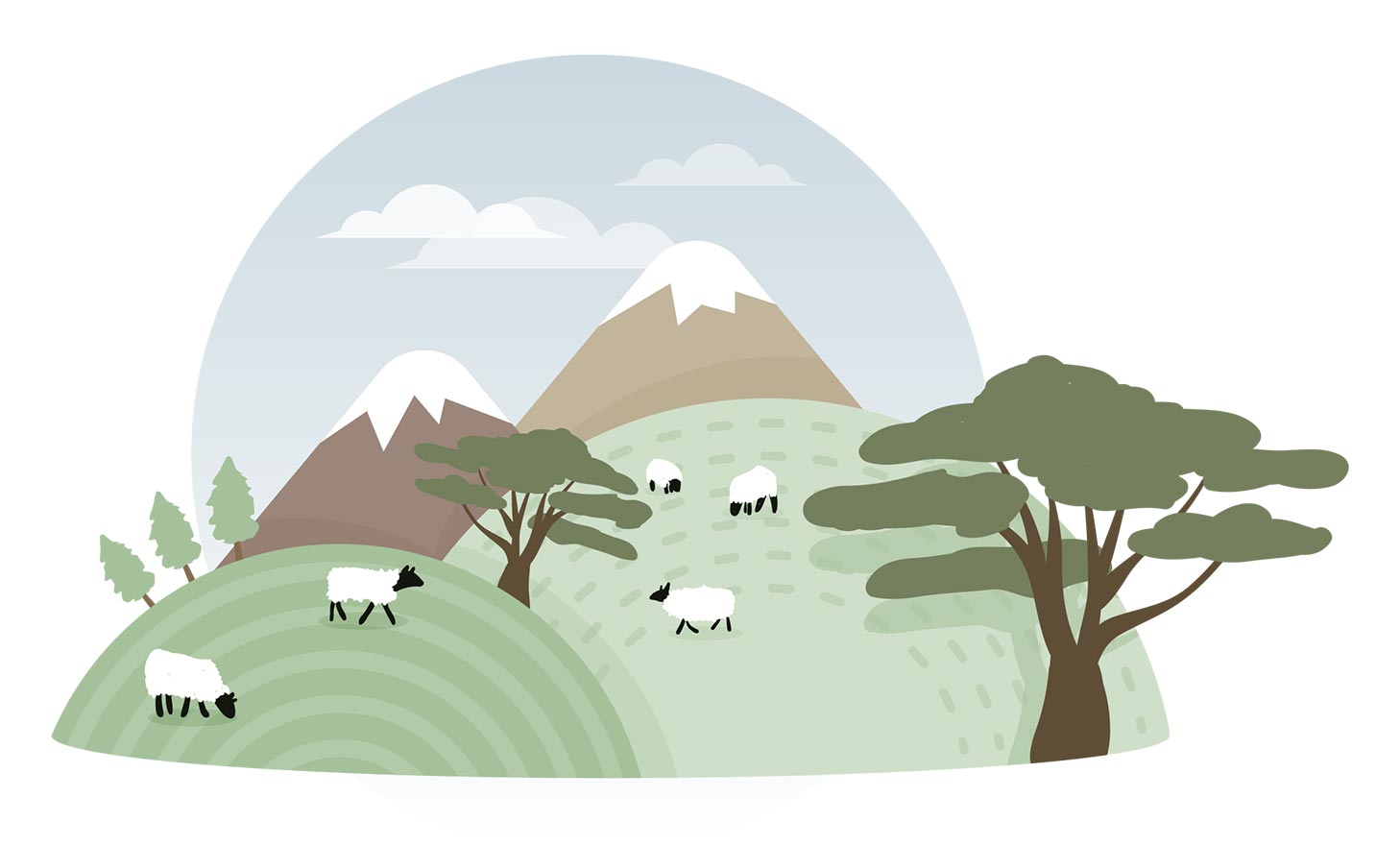 Sheep among hills and mountains grazing.