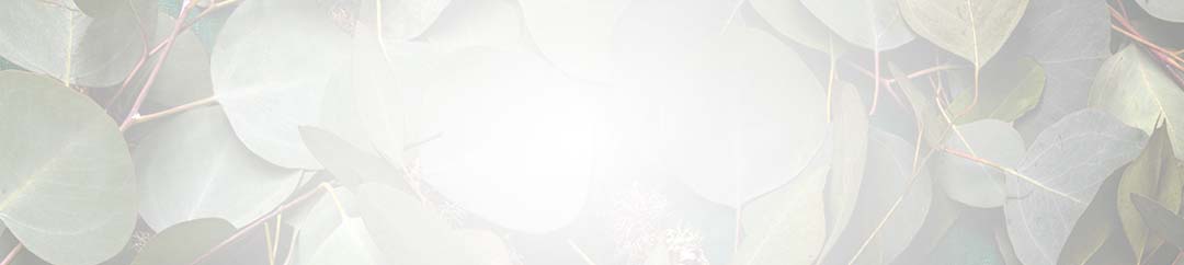 Leaf background.