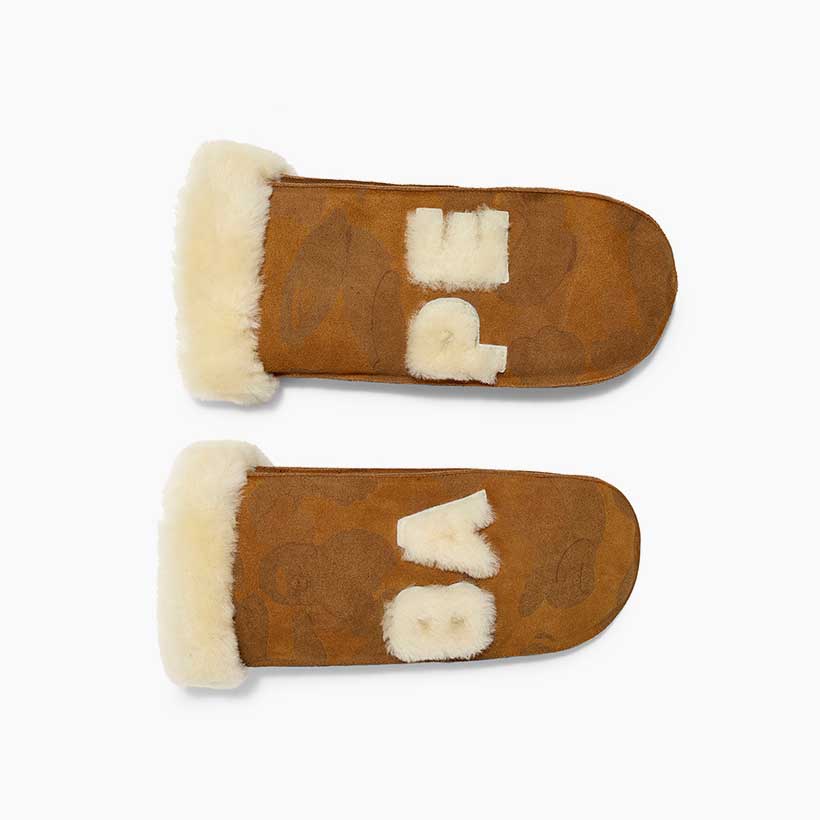 bape and ugg slides