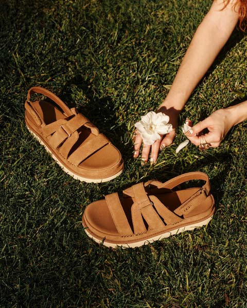 A pair of UGG sandals on display in the grass.