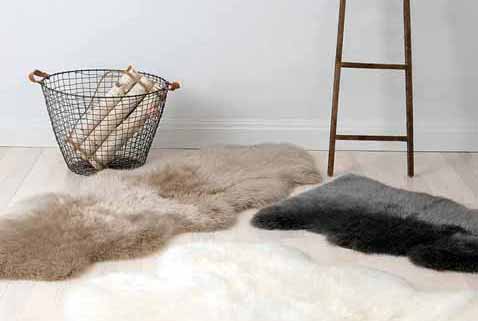ugg home ugg home